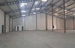 Hală nou construită, 1.260 mp, ideală pentru producție sau depozitare, Cristești