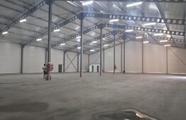 Hală nou construită, 1.260 mp, ideală pentru producție sau depozitare, Cristești