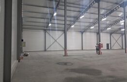 Hală nou construită, 1.260 mp, ideală pentru producție sau depozitare, Cristești