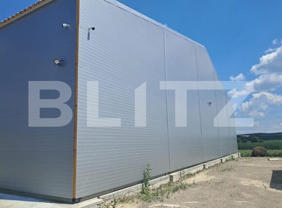 Spațiu industrial de închiriat Cristești - 199235SII | BLITZ Târgu Mureș | Poza9