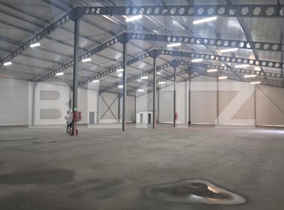 Spațiu industrial de închiriat Cristești - 199235SII | BLITZ Târgu Mureș | Poza1