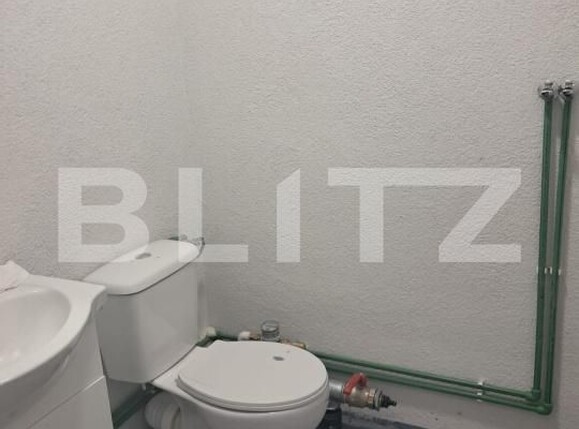 Spațiu industrial de închiriat Cristești - 199235SII | BLITZ Târgu Mureș | Poza14