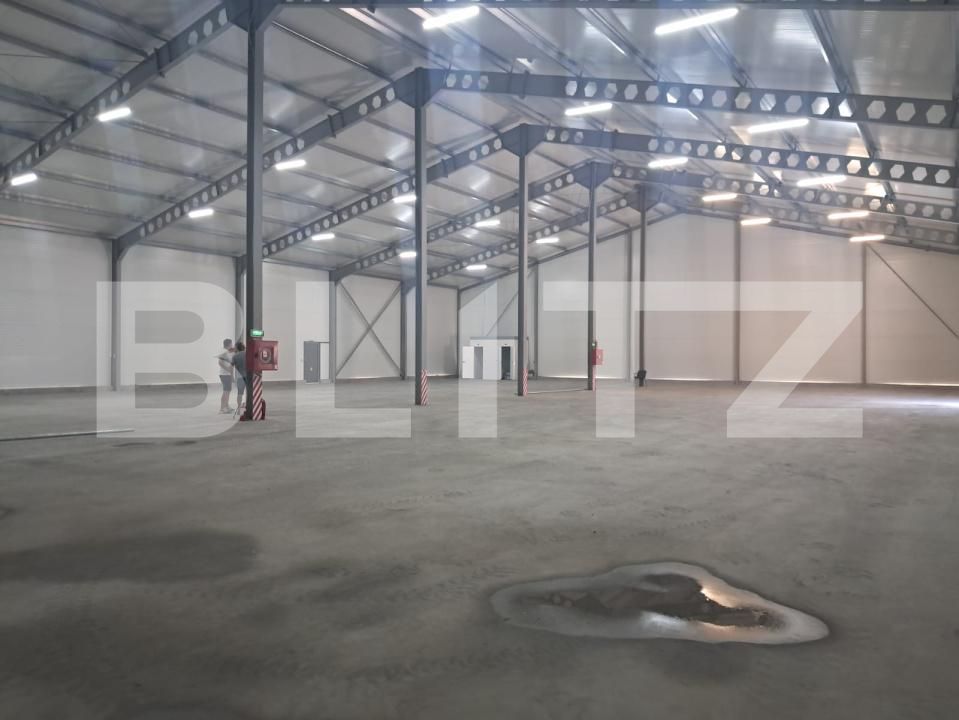 Spațiu industrial de închiriat Cristești - 199235SII | BLITZ Târgu Mureș | Poza4