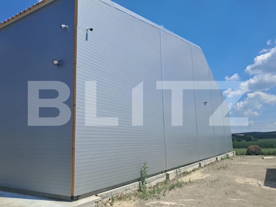 Spațiu industrial de închiriat Cristești - 199235SII | BLITZ Târgu Mureș | Poza9