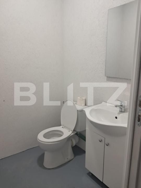 Spațiu industrial de închiriat Cristești - 199235SII | BLITZ Târgu Mureș | Poza15