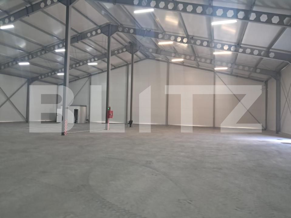 Spațiu industrial de închiriat Cristești - 199235SII | BLITZ Târgu Mureș | Poza3