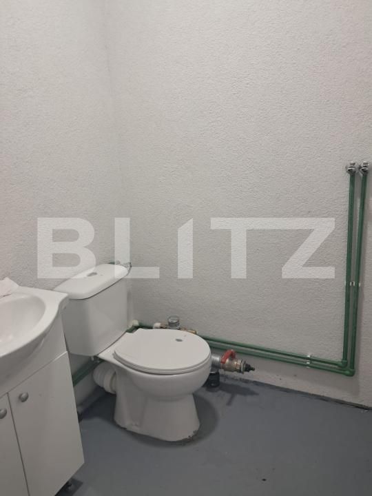 Spațiu industrial de închiriat Cristești - 199235SII | BLITZ Târgu Mureș | Poza14