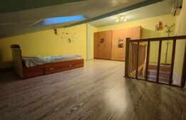 Apartament 2 camere,  dispus pe doua niveluri, zona Apollo - Sangeorgiu de Mures