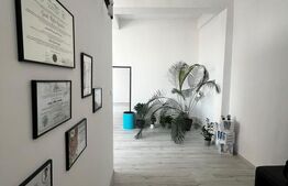 Spatiu de inchiriat birouri /salon, 170 mp, zona Gheorghe Doja 
