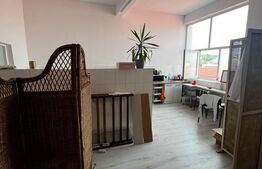 Spatiu de inchiriat birouri /salon, 170 mp, zona Gheorghe Doja 