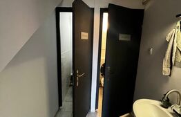 Spatiu de inchiriat birouri /salon, 170 mp, zona Gheorghe Doja 