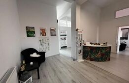 Spatiu de inchiriat birouri /salon, 170 mp, zona Gheorghe Doja 