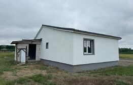 Casa de vacanta, 60 mp, zona Suseni