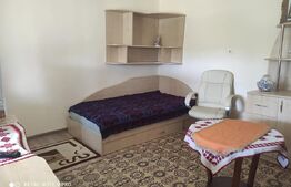 Casă cu 3 camere de vânzare, 80 mp, teren 2.323 mp, zona Iclandu Mare
