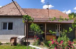 Casă cu 3 camere de vânzare, 80 mp, teren 2.323 mp, zona Iclandu Mare