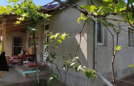 Casă cu 3 camere de vânzare, 80 mp, teren 2.323 mp, zona Iclandu Mare