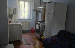 Casă cu 3 camere de vânzare, 80 mp, teren 2.323 mp, zona Iclandu Mare