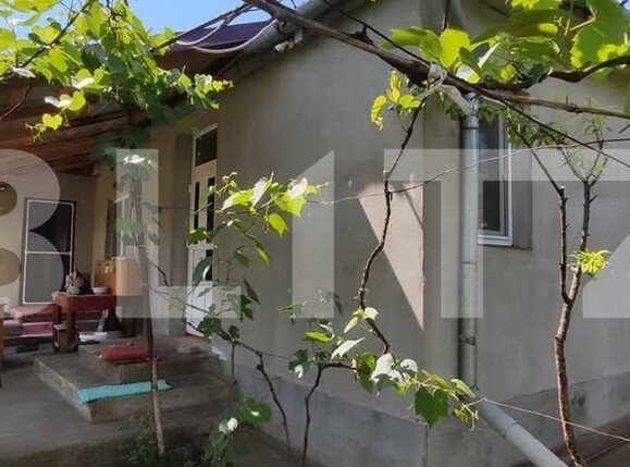 Casa de vânzare 3 camere Iclandu Mare - 199941CV | BLITZ Târgu Mureș | Poza1