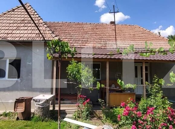 Casa de vânzare 3 camere Iclandu Mare - 199941CV | BLITZ Târgu Mureș | Poza2