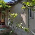 Casa de vânzare 3 camere Iclandu Mare - 199941CV - Poza 1 din 7 | BLITZ Târgu Mureș | Poza7