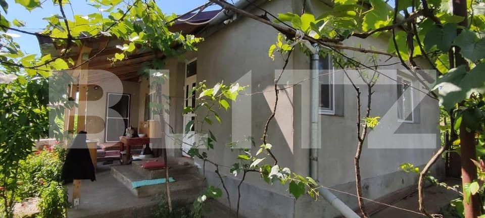 Casa de vânzare 3 camere Iclandu Mare - 199941CV | BLITZ Târgu Mureș | Poza2
