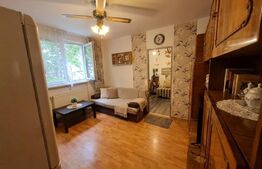 Apartament 2 camere, 28 mp, etaj 1, Ady Endre – Rovinari, aproape de Profi