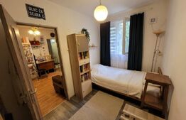 Apartament 2 camere, 28 mp, etaj 1, Ady Endre – Rovinari, aproape de Profi