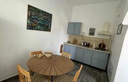 Apartament 2 camere, 100 mp, zona Central 
