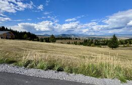 Teren de vanzare-ideal pentru cabane-lângă pârtia de schi din Toplița