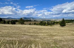 Teren de vanzare-ideal pentru cabane-lângă pârtia de schi din Toplița