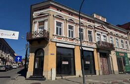 Spațiu comercial de închiriat Gheorghe Doja - 201937SIC | BLITZ Târgu Mureș | Poza1