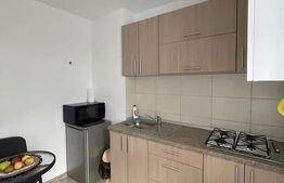 Garsoniera de inchiriat, 28 mp, zona 7 Noiembrie - Tg. Mures