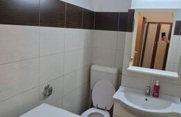 Garsoniera de inchiriat, 28 mp, zona 7 Noiembrie - Tg. Mures