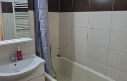 Garsoniera de inchiriat, 28 mp, zona 7 Noiembrie - Tg. Mures