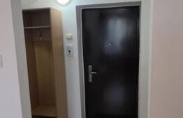 Garsoniera de inchiriat, 28 mp, zona 7 Noiembrie - Tg. Mures