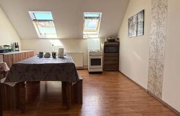 Spațiu de închiriat – Camere - Spatiu de birouri - Clinica -Târgu Mureș