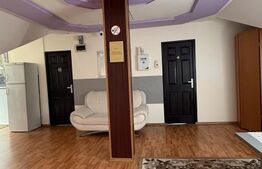 Spațiu de închiriat – Camere - Spatiu de birouri - Clinica -Târgu Mureș