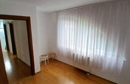Vilă de vânzare, 300 mp, zona Livezeni
