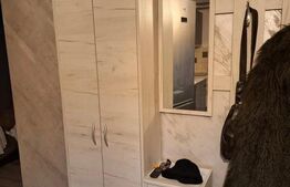 Apartament 2 camere, 57 mp, renovat, zona Târnăveni