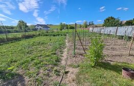 Casă de vânzare, 138 mp, 2.750 mp teren intravilan, zona Nazna