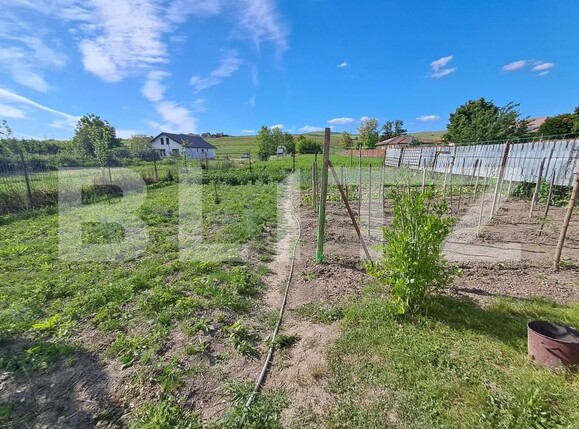 Casa de vânzare 3 camere Nazna - 201024CV | BLITZ Târgu Mureș | Poza7