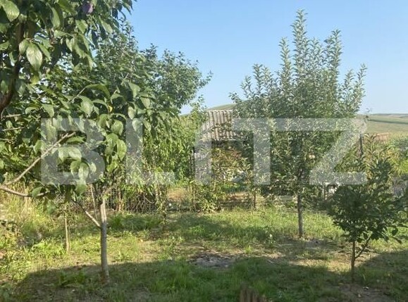 Casa de vânzare 3 camere Nazna - 201024CV | BLITZ Târgu Mureș | Poza10