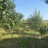Casa de vânzare 3 camere Nazna - 201024CV - Poza 1 din 15 | BLITZ Târgu Mureș | Poza9