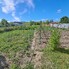 Casa de vânzare 3 camere Nazna - 201024CV - Poza 1 din 15 | BLITZ Târgu Mureș | Poza6