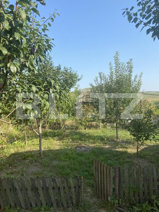Casa de vânzare 3 camere Nazna - 201024CV | BLITZ Târgu Mureș | Poza10