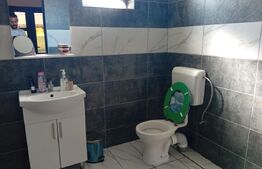 Casă de vânzare, 120 mp, zona Ivănești, comuna Livezeni