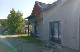 Casă de vânzare, 120 mp, zona Ivănești, comuna Livezeni