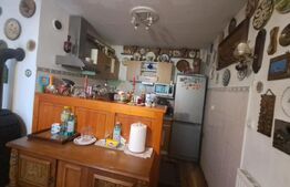 Casă individuală P+1, 180 mp, teren 1.050 mp și livadă, zona Dumbrăvioara