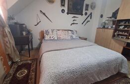 Casă individuală P+1, 180 mp, teren 1.050 mp și livadă, zona Dumbrăvioara