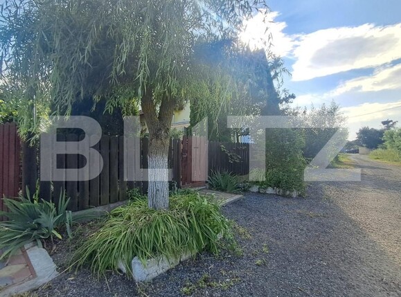 Casa de vânzare 3 camere Dumbravioara - 201246CV | BLITZ Târgu Mureș | Poza5